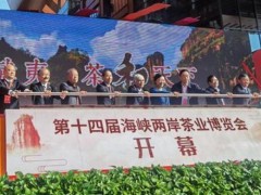 第十四届海峡两岸茶业博览会在福建武夷山开幕