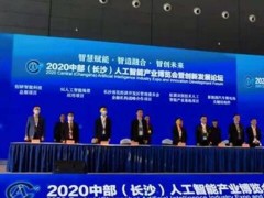 2020中部（长沙）人工智能产业博览会开幕