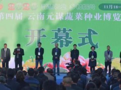 2020云南元谋蔬菜种业博览会开幕