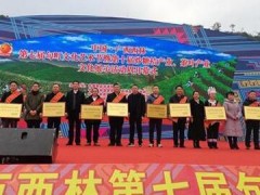 广西西林第七届句町文化艺术节开幕