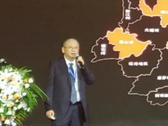 隆基总裁李振国参加可再生能源学术大会